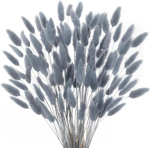 Minnhua 120pcs Fleurs Séchées Bleu Gris 43 cm Lagurus Ovatus