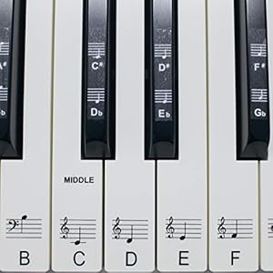 Piano Stickers for 49/61 key keyboard, Transparent, Laminated, Ultra Thin to the touch, Removable. Stickers for the…