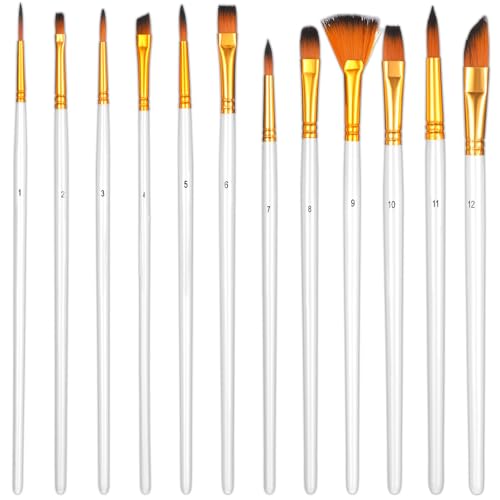 12PCS Water Color Paint Brushes, Acrylic Paint Brushes, Assorted Shapes