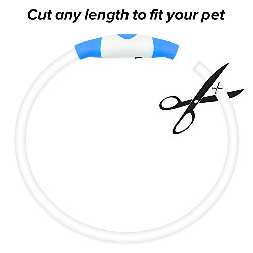 Bseen Light Up Dog Collars - Rechargeable Led Dog Collar For Small To Large Dogs, Tpu Cuttable Glowing Pet Collar For Camping (Blue) #TOP2