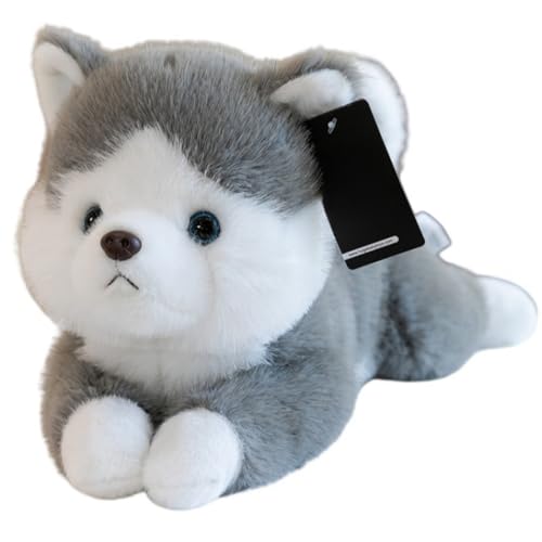 Bivoyud Č ʂ 傫   A  Ck NbV 45cm/ 65ӂӂ  a Mtg v[g (45cm,nXL[)