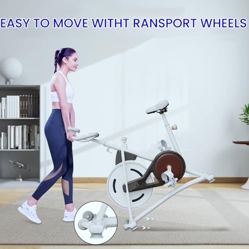 Image of NAYSAYE Exercise Bike, Adjustable Stationary Bikes with Smartphone Mount, Professional Exercise Bike with Digital Pulse Display for Home and Office