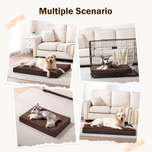 Joejoy Orthopedic Dog Bed For Medium Small Dogs thumb #5