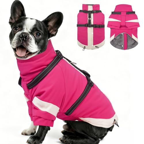 Image of MIGOHI Snowproof Dog Jacket with Harness in a Chilly Day,S,Rosered | Reflective Small Dog Coat with Sleeves Waterproof Fleece Winter Puffer Jacket for Dogs,Turtleneck Puppy Coats for Outdoor
