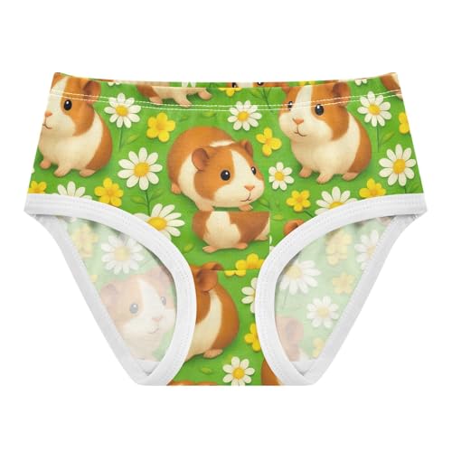 Joisal Fun Toddler Underwear Floral 2t Cotton Little Girl Panties Cute Brown Guinea Pigs Daisies Briefs Undies Kids