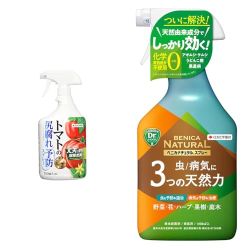 yZbgzZFw| 엿 g}g̐K\hXv[ 950ml+xjJi`Xv[ 1000ml