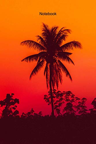 Coconut palm tree notebook Notebook: blank lined composition journal