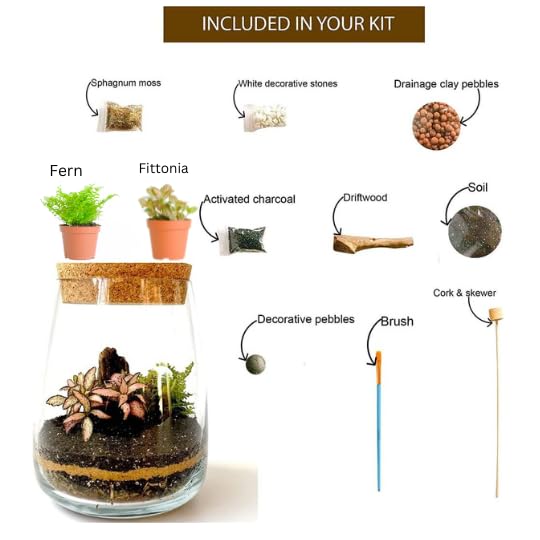 Handgemaakte Clear Glas Diy Terrarium Kit Thuis Eco Tuin Display Bloempot Indoor Centrepiece 14cm Hoogte - Afbeelding 3