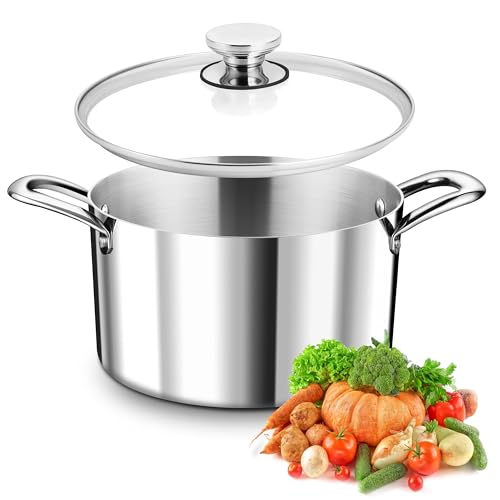 TEAMFAR Kochtopf, 3-Lagen Edeastahl 22cm Topf Induktion mit Glasdeckel, 4,75L Nudeltopf Fleischtopf für alle Herdarten, Edeastahl poliert & Unbeschichtet