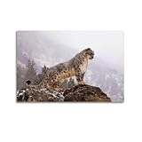 OKNGB Wildtier-Poster, Schneeleopard, Himalaya, Poster, 