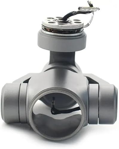 Carcasa vacía Gimbla genuina para DJI Mavic 2 Pro PZT carcasa sin cámara para DJI Mavic 2 Zoom Drone Reparación Piezas de repuesto (color  Mavic 2 disponible en Yaxa Peru