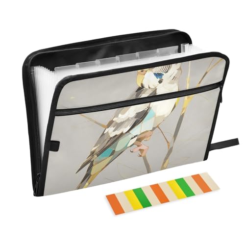 Archivador A4 de pájaros coloridos para ordenar apuntes académicos y facturas del hogar