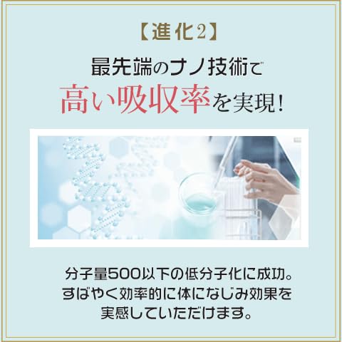 日本安惠 冬虫夏草 300mg×24粒