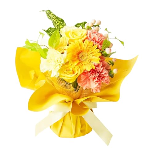 bloomee(u[~[) ̂܂܏ u[P  STCY (Gift for you J[h t)  ~j ԑ (Mtg v[g j) ސEj j Ǝ JXj t[Mtg (ԕrsv 炸)