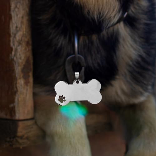 BUGUUYO 10 Stück Hundemarken Blanko-Etiketten Metallanhänger Haustiermarke Blanko-Hundemarken Zum Gravieren Personalisierte Mit Gravur Für Haustiere Charm Kleine Silberne