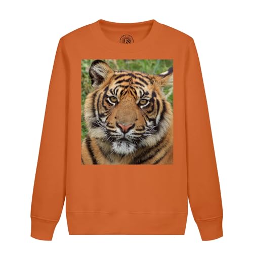 Sweatshirt tigre enfant fini les vêtements ternes avec ce pull fauve