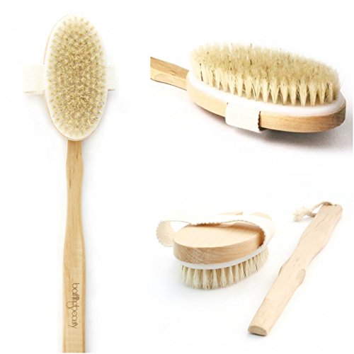 Premium Natural Boar Bristle Body Scrubbing Brush 2-in-1 — Long Handle with Detachable Head — Ideal for Dry Brushing — Perfect for Skin Exfoliation Reducing Cellulite and Stretch Mark Appearance