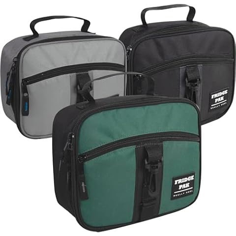 Fridge Pak 24 Pack Lunch Bags Bulk Insulated, Reusable Lunch Bags with Front Clips and Pockets - Keep Foods and Drinks Hot or Cold up to 6 Hours (Bold Bags Pack) Cover