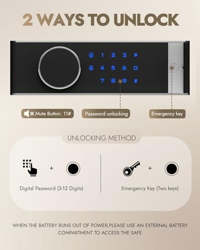 8.6 Cuft Heavy Duty Dual Door Safe Box with Hidden Lock Box Fireproof Waterproof Bag,Removable Shelves,Silent,Fireproof safe for Home, Office, Hotel (8.6 Cuft Double Door Safe)