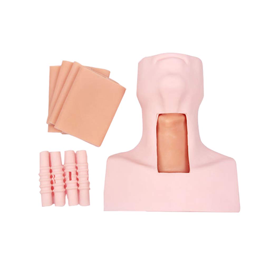 Buy Amhuui Human Body Training Model, Tracheostomy And Intubation