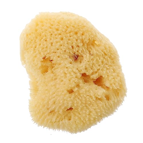 ERINGOGO Watercolor Sponge Painting Tool Natural Texture Sponges for Art and Craft Random Shapes for Graffiti and Creative Projects