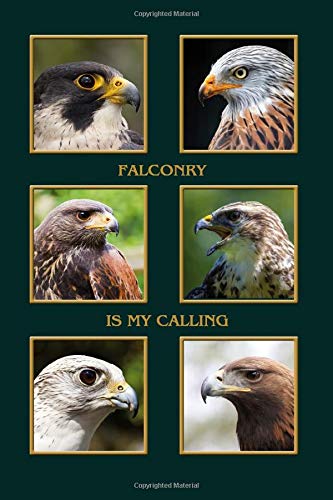 Falconry is my Calling: Hawk, Eagle, Kite, Buzzard, Harris Hawk, Gyrfalcon, popular birds of prey for falconry. Falconer notebook and journal. Gift ... cm (almost A5), 120 pages, fine grey lined
