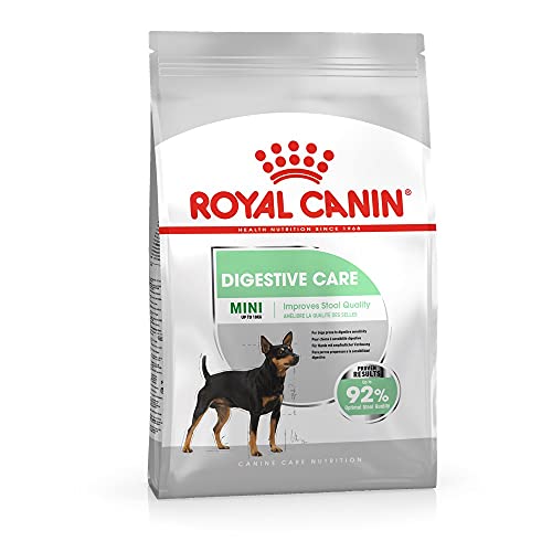 Melhor Remédio para Giardia em Cães → Tratamentos, Cuidados e Prevenção Eficaz ROYAL CANIN Ração Mini Digestive Care 7,5Kg