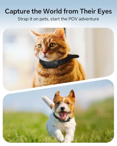 Boblov W4 thumbnail 3