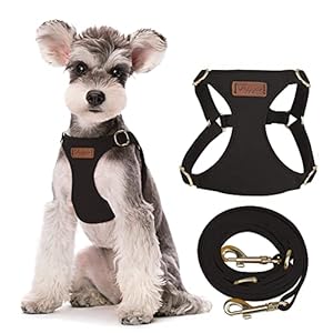 Lightweight-No-Pull-Dog-Harness-with-Multifunction-Dog-Leash-for-Puppies-or-Small-DogsMedium-Dogs-or-Large-Dogs Lightweight No Pull Dog Harness