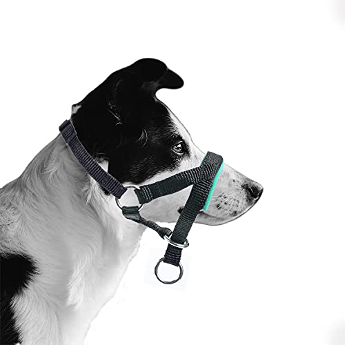 Hundehalfter Mit Gepolstertem Stoff, Halfterhalsband Für Hunde, Verstellbar Und Ziehen verhindert. (L,Grün)