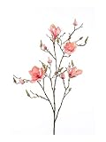 artplants