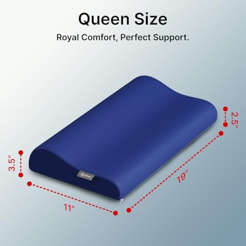 Image of pTron Ergova O2 100% Memory Foam Cervical Neck Pillow, Improves Posture, Spinal Alignment, Neck Pain Relief Cushion, Queen Size 19x11x3.5 inch, Breathable & Washable Zip Cover (Blue)