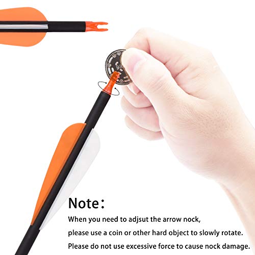 image for Archery World 26Inch Carbon Arrow Practice Hunting Arrows Targeting wi