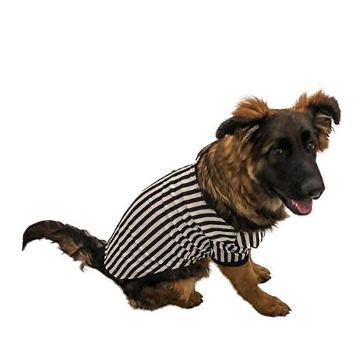 Midlee Referee Dog Halloween Costume (Large)
