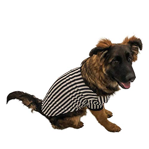 Midlee Referee Dog Halloween Costume (XX-Large)
