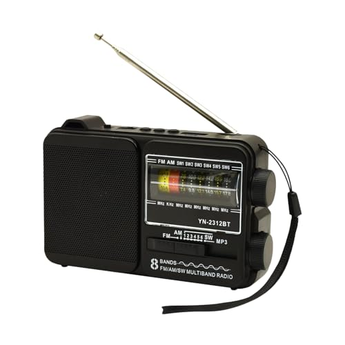 Petite radio portable à batterie idéale pour le camping