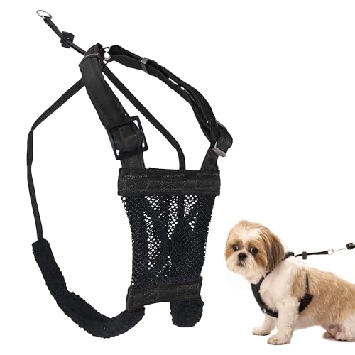 Image of Sporn No Pull Dog Harness, Durable Nylon Mesh Harness for Small Dogs, No Choke Design, Padded Restraint Sleeves, Adjustable Fit, Easy On /Off, Ideal for Small Breeds, Black