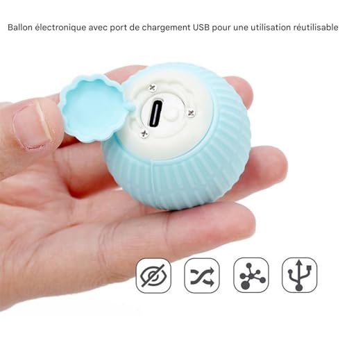 Jouet interactif pour chat idéal comme cadeau de Noël ou Halloween