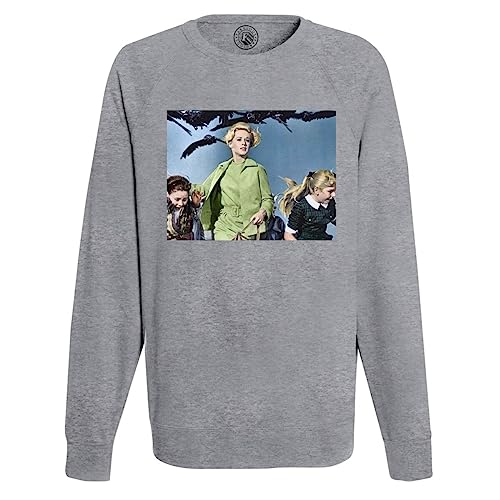 Sweatshirt Homme Les Oiseaux - Pull Vintage Anti-Banalité