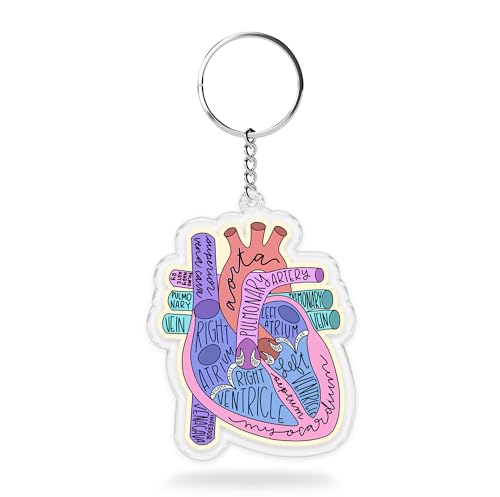 Heart Anatomy Keychains 2 Inches Funny Nurse, Health Heart, Surgery, Medical, Keychain for Keys, Handbags, Backpacks, Suitcases, Keyrings Acrylic Material DIY Accessories Gifts for Friends Mom Dad