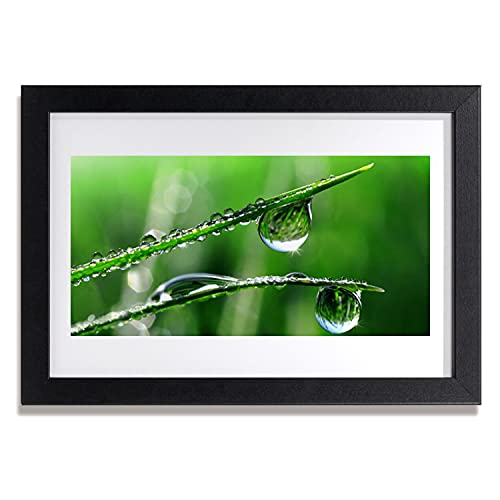 Photo image gouttes d'herbe de rosée de prestige affiche encadrée MDF 30x20