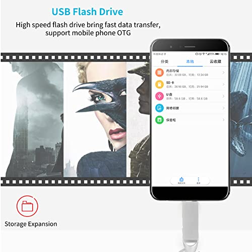 Plyisty USB Flash Drive 12.0 1GB / 2GB / 4GB / 8GB / 32GB / 64GB with Type C Adapter, USB 2.0 Flash Drive Memory Stick Storage Expansion for iPhone iOS Android Smartphone(2GB)