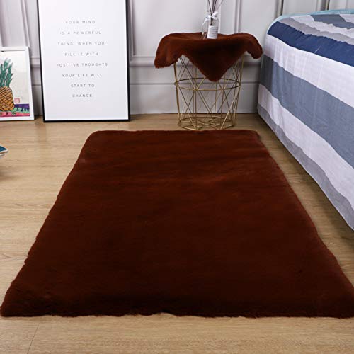 Tapis salon moelleux et épais en fausse fourrure pour moments en famille