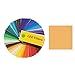 Lee Filters CTO + .3 Neutral Density 24x21 Gel Filter Sheet