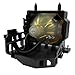 IET Genuine OEM Replacement Lamp for Sony VPL-HW45ES, VPL-HW65Es, VPL-VW65ES Projector with One Year Warranty (Power by Philips Bulb Inside)
