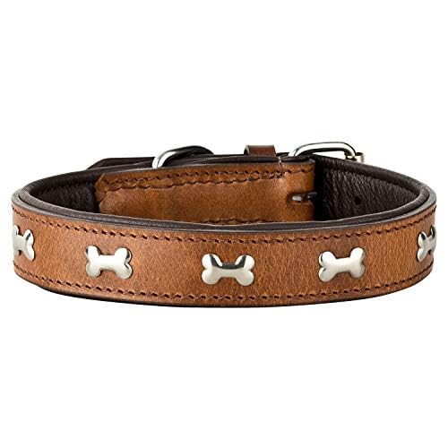Schnüffelfreunde Lederhalsband Hund mit Applikation I Hundehalsband Lisa aus Leder (XL - 46-55cm)