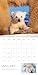 2026 Baby Animals Wall Calendar: Art Wolfe's Wild Lives