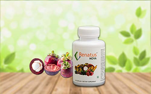 Renatus Nova 60 Cap #TOP1