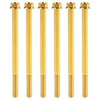 法螺貝32cm 法螺貝③ 法螺貝 35cm ZX 30 / ZX 35 / ZX 40 / ZX43 | ECOGEAR