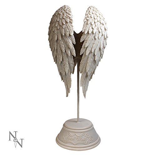Nemesis Now - Figura Decorativa de alas de ángel (26 cm, Resina, Talla única), Color Blanco